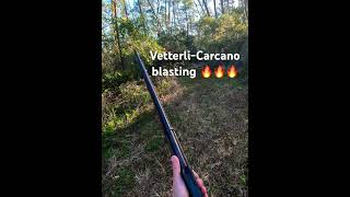 65 Carcano Vetterli Fun [upl. by Honna]