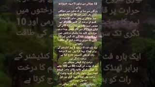 treestreeplanting TreePlantingChallenge TreeHouse treeinpakistan short [upl. by Imogen]