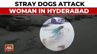 Hyderabad Dog Menace Stray Dogs Attack Woman In Hyderabad During Morning Walk  India Today [upl. by Nafis]