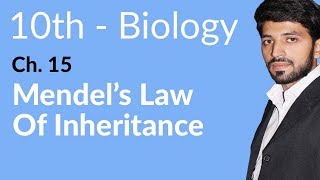 10th Class Biology Chapter 15  Mendels Law of Inheritance  Class 10 Biology Chapter 15 [upl. by Anassor]