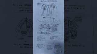 APOMIXIS in Angiospermic Plants byDrTPSharma [upl. by Eelirak]