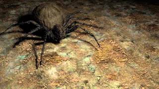 Spider animation  create in Blender [upl. by Coplin]