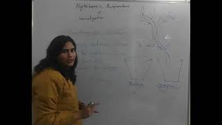 Phytochrome in Photoperiodism and Vernalization [upl. by Naujaj471]