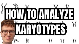 KARYOTYPE ANALYSIS [upl. by Anomahs301]