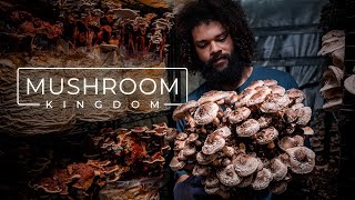 Cultivating Gourmet and Medicinal Mushrooms  PARAGRAPHIC [upl. by Osbourn]