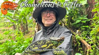 Chameleons and Coffee Live [upl. by Elyod]