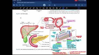 Hepatology03 Davidson  Medicine [upl. by Anallese]