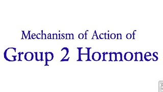 Mechanism of Action of Group 2 Hormones  Biochemistry  Mechanism of Hormone Action hormones [upl. by Orsola819]