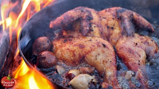 Epic Fried Whole Chicken  feat MrRamsay the Owl [upl. by Lanctot934]