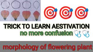 aestivation trick  trick to learn aestivation  morphology of flowering plant trick [upl. by Chapell]