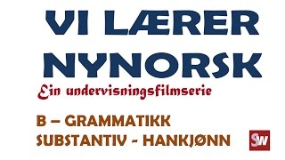 Norsk Vi lærer nynorsk B  GrammatikkSubstantiv  Hankjønn [upl. by Jerrol]