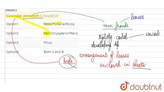 Circinate vernation is found in [upl. by Laurance]