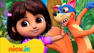 Dora  ¡Los Robos Más Astutos de Swiper 🦊 2  20 Minutos  Nick Jr en Español [upl. by Couchman445]