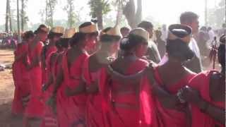 Incroyable danse tribale Bastar dussehra [upl. by Lorollas]