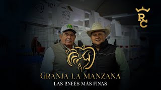 Gallos Granja La Manzana  Entrevista Alejandro Fernández  Alberto Fernández  50 años de historia [upl. by Olly]