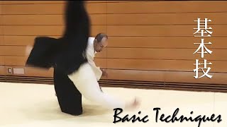 Aikido Basic Techniques  Katatedori amp Shomenuchi [upl. by Ledah]