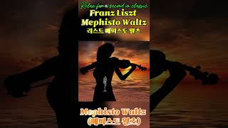 Franz Liszt Mephisto Waltz  리스트 메피스토 왈츠 Relax for a second in classic [upl. by Nylasej]