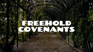 Introduction to Freehold Covenants Part 1  Land Law [upl. by Ludwigg]