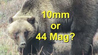 10mm vs 44 mag for Bear defense What Really Matters [upl. by Banks]