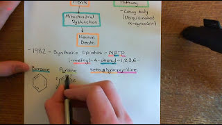 Parkinsons Disease and Antiparkinson Drugs Part 4 [upl. by Aniham265]