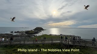 行行系列 OOThe Nobbies View Point Philip Island Austrilia 澳洲企鵝島薩默蘭漫步 [upl. by Elcarim]