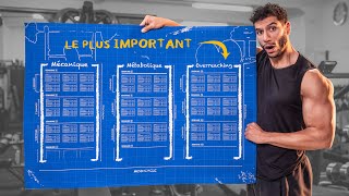 Comment créer son programme de musculation débutants [upl. by West]