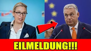 Alice Weidel sendet eine Warnbotschaft an Viktor Orban Du hast es verdient [upl. by Novello]