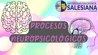 Procesos neuropsicológicos [upl. by Tanny]