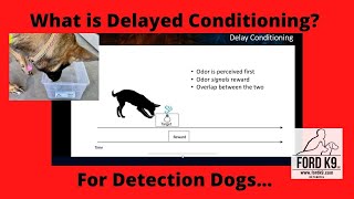 Understanding Delayed Conditioning for Detection Dogs [upl. by Bandler]