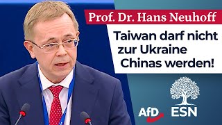 Taiwan darf nicht zur Ukraine Chinas werden  Prof Dr Hans Neuhoff AfD [upl. by Stevena]