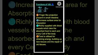 Functions of Villishorts class10th Biology Ch1Science Life processRole of Villi in Small intes [upl. by Grove]