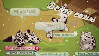 Animal Jam Being Cows [upl. by Catto]