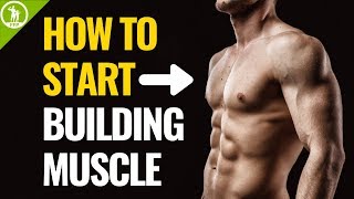 How To Start Building Muscle For Beginners [upl. by Medrek822]