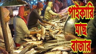 পাইকারি দামে মাছ কিনুন  Jatrabari Wholesale Fish market 5 December 2024  My Life [upl. by Nylirek]