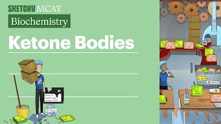 Ketone Bodies Biochemistry  Sketchy MCAT [upl. by Hays431]