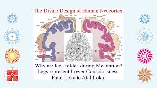 NEOCORTEX  An Antenna to Akash Kosh the Treasure House of Divine Impeccable Wisdom [upl. by Eduj342]