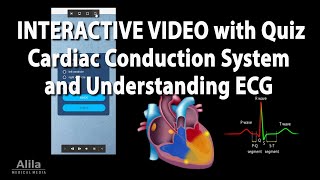 NEW INTERACTIVE Animation Cardiac Conduction System and Understanding ECG EKG [upl. by Burkley]