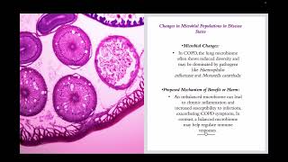 COPD Microbiome [upl. by Iramaj]