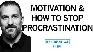 How to Stop Procrastination amp Increase Motivation  Dr Andrew Huberman [upl. by Grindlay31]