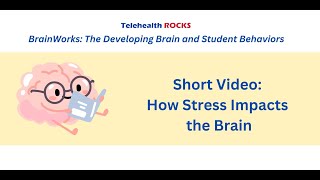 BrainWorks short video How stress impacts the brain [upl. by Lobell]