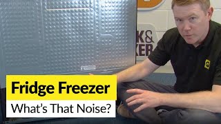 Have a Noisy Fridge Freezer Common Causes of Fridge Noise Revealed [upl. by Assinna818]