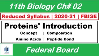 Proteins Concept Composition of Proteins Peptide bond formation Class 11 Biology [upl. by Ohploda]