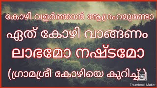 ഗ്രാമശ്രീ കോഴികൾ ലാഭത്തിൽ വളർത്താം Gramasree Kozhi valarthal [upl. by Names]