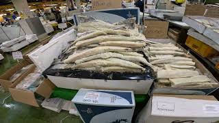 Come with me to billingsgate fish market london [upl. by Garlen]