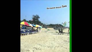 Relax and unwind at the serene Benaulim Beach in Goa  a hidden paradise BenaulimBeach Goa [upl. by Maggio]