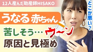 【助産師HISAKO】赤ちゃんに多い夜中の唸りと対処法を教えます。新生児期に唸るのには理由がある【助産師hisakoひさこ新生児1ヵ月2ヵ月3ヵ月4ヵ月 腸重積 幽門狭窄症うなり 心配】 [upl. by Telrats399]