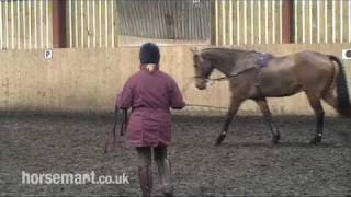 How to Lunge a Horse with Side Reins [upl. by Anailuy]