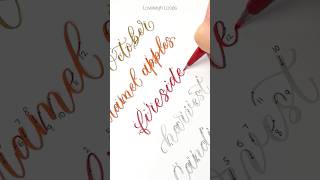 Worksheets From Calligraphy Skool Join 450 Students for Just 5 a Month Before Discount Ends [upl. by Leinnad965]