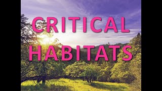 Critical Habitats [upl. by Safier]