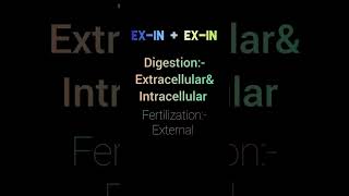 Phylum ctenophora characteristics trickDr loading neet2025 tricks trendingshorts shorts [upl. by Lleze477]